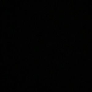 Meet your Posher, Riley